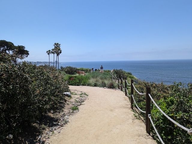 海沿いの歩道の写真