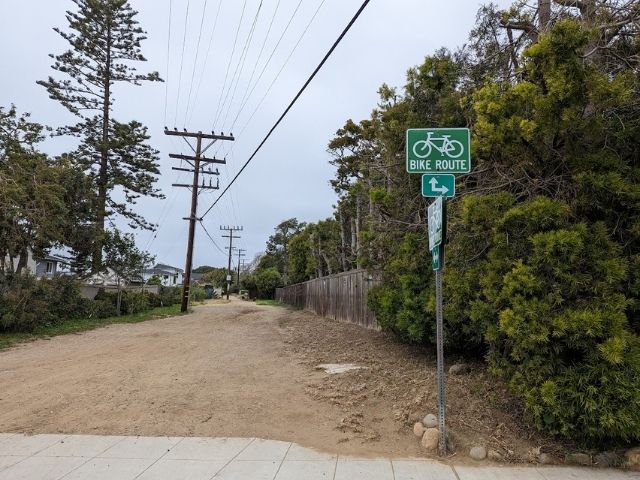 Bike Laneを歩く様子の写真