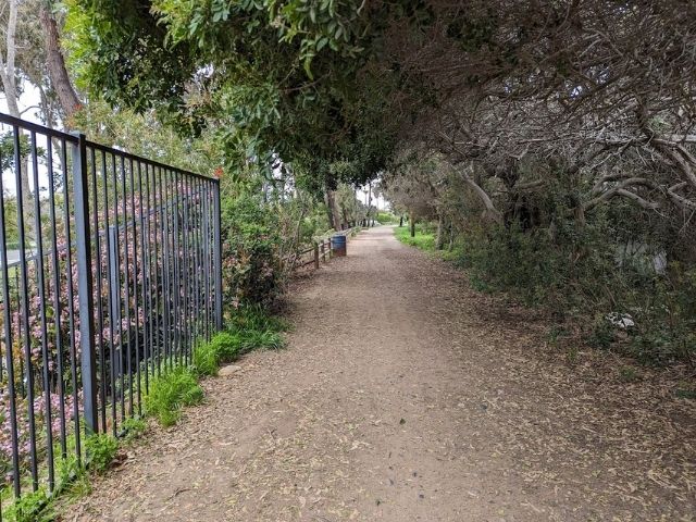 公園が見えてくる様子の写真