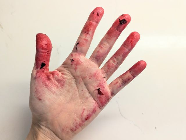ビーツで真っ赤になった手の写真